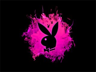 Playboy Bunny_1.jpg